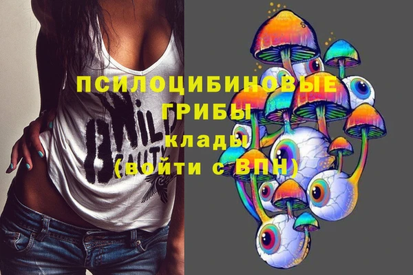 молекула духа Армянск