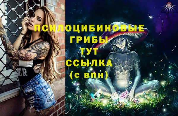 молекула духа Армянск
