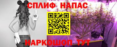СК Ливны